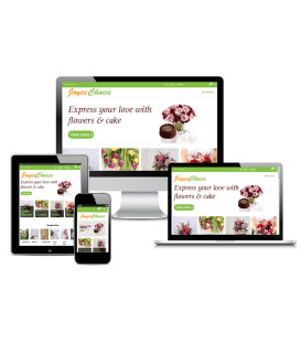 One Page Retail Webshop